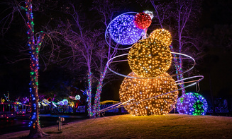 Affordable holiday lights limo rental in Louisville, CO